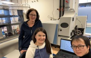 Researchers discover new arsenic compounds in rice fields Researchers discover new arsenic compounds in rice fields