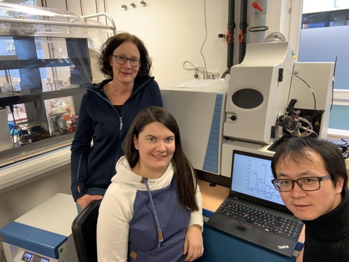 Researchers discover new arsenic compounds in rice fields