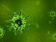 Researchers identify new universal target for antiviral treatment