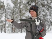 Researchers study how birds retweet news