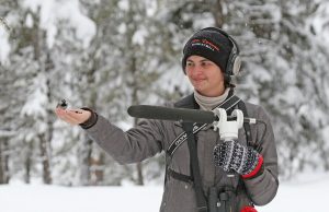 Researchers study how birds retweet news Researchers study how birds retweet news