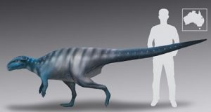Solved The mystery surrounding dinosaur footprints on a cave ceiling