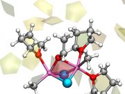 The 120 year old cold case for the Grignard reaction is finally solved