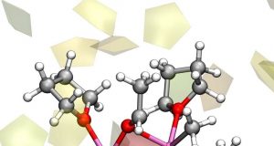 The 120 year old cold case for the Grignard reaction is finally solved