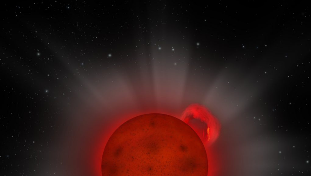 XMM Newton reveals giant flare from a tiny star scaled