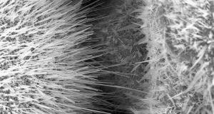 3 D printed sensors could make breath tests for diabetes possible