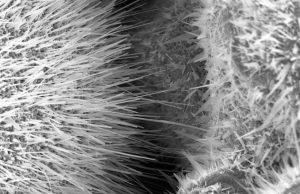 3-D printed sensors could make breath tests for diabetes possible 3 D printed sensors could make breath tests for diabetes possible