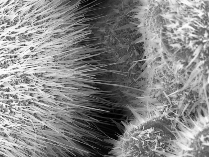 3 D printed sensors could make breath tests for diabetes possible