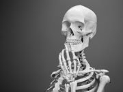 Ancient teeth reveal Bronze Age gender inequality