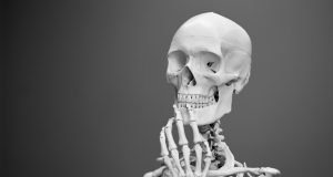 Ancient teeth reveal Bronze Age gender inequality