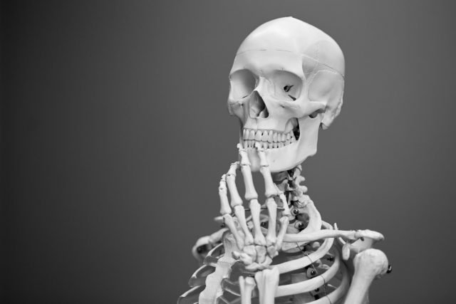 Ancient teeth reveal Bronze Age gender inequality Ancient teeth reveal Bronze Age gender inequality