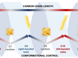 Carbon chains adopt fusilli or spaghetti shapes if they have odd or even numbers