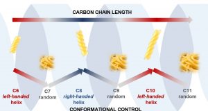 Carbon chains adopt fusilli or spaghetti shapes if they have odd or even numbers