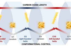 Carbon chains adopt fusilli or spaghetti shapes if they have odd or even numbers Carbon chains adopt fusilli or spaghetti shapes if they have odd or even numbers