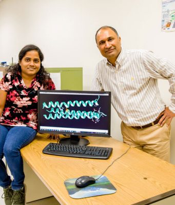 Chemists create new artificial enzyme