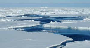 Chlamydia related bacteria discovered deep below the Arctic Ocean