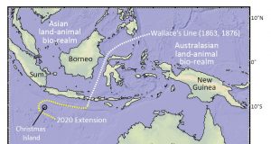 Christmas Island discovery redraws map of life
