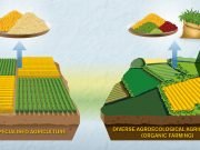 Comparisons of organic and conventional agriculture need improvement say researchers scaled