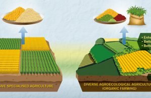 Comparisons of organic and conventional agriculture need improvement, say researchers Comparisons of organic and conventional agriculture need improvement say researchers scaled