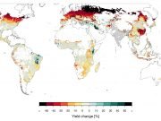 Even a limited India Pakistan nuclear war would bring global famine says study scaled