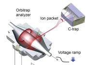 How do you weigh a single molecule
