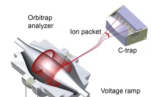 How do you weigh a single molecule? How do you weigh a single molecule