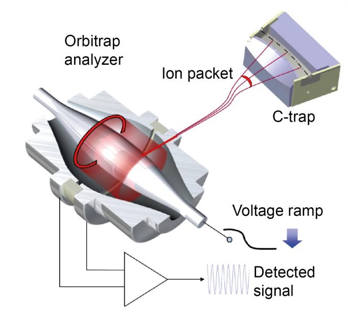 How do you weigh a single molecule? How do you weigh a single molecule