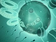 How sperm unpack dads genome so it can merge with moms