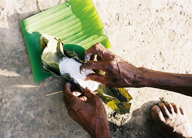 Hunter gatherer networks accelerated human evolution