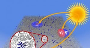 Molecular vibrations reduce the maximum achievable photovoltage in organic solar cells