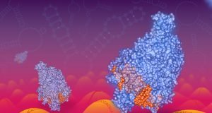 New kind of CRISPR technology to target RNA including RNA viruses like coronavirus 2