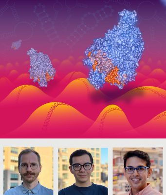 New kind of CRISPR technology to target RNA including RNA viruses like coronavirus 2