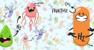 New metabolism discovered in bacteria