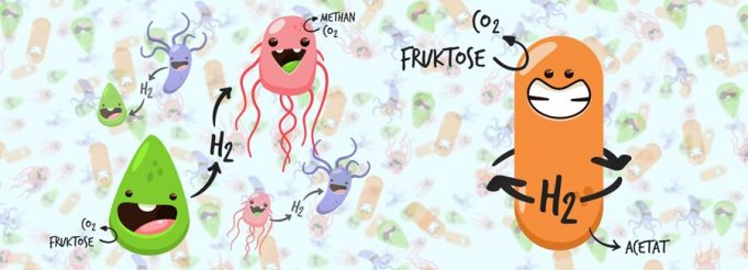 New metabolism discovered in bacteria New metabolism discovered in bacteria