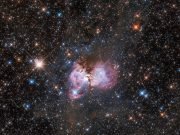 On the origin of massive stars