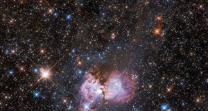On the origin of massive stars