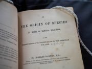 One of Darwins evolution theories finally proved by Cambridge researcher scaled