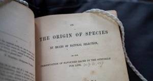 One of Darwins evolution theories finally proved by Cambridge researcher scaled