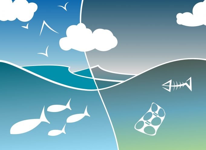 Planets largest ecosystems collapse faster than previously forecast