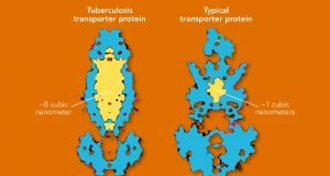 Researchers discover giant cavity in key tuberculosis molecule