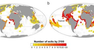 Researchers examine nations losing fish species due to climate change