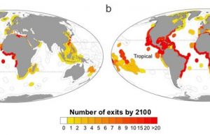 Researchers examine nations losing fish species due to climate change Researchers examine nations losing fish species due to climate change