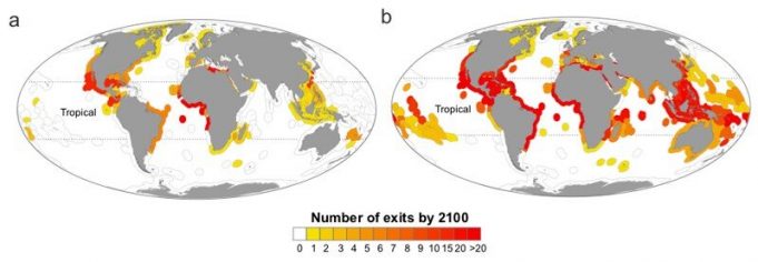 Researchers examine nations losing fish species due to climate change Researchers examine nations losing fish species due to climate change