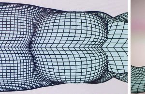 Researchers unlock secrets to swimming efficiency of whales, dolphins for next-gen underwater robots Researchers unlock secrets to swimming efficiency of whales dolphins for next gen underwater robots