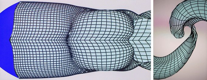 Researchers unlock secrets to swimming efficiency of whales dolphins for next gen underwater robots