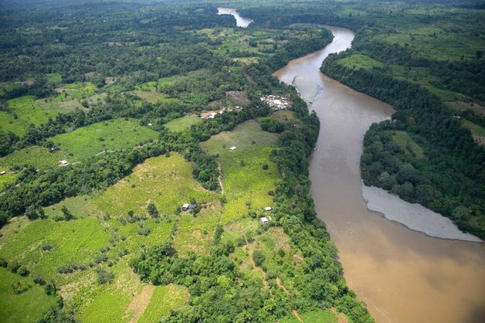 Restore soil to absorb billions of tonnes of carbon: study Restore soil to absorb billions of tonnes of carbon