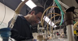 Rock breathing bacteria are electron spin doctors study shows