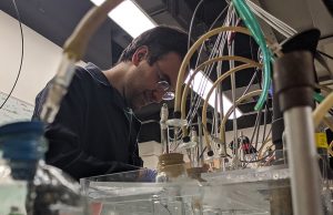 ‘Rock-breathing’ bacteria are electron spin doctors, study shows Rock breathing bacteria are electron spin doctors study shows