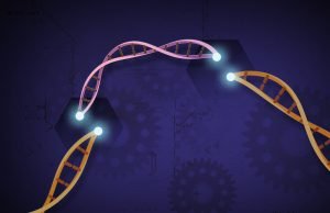 Scientists can now edit multiple genome fragments at a time Scientists can now edit multiple genome fragments at a time