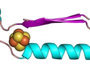 Scientists have discovered the origins of the building blocks of life